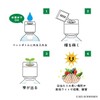 Indoor Cultivation Kit, Large Leaves, Easy Growing with Plastic Bottles,