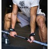 Roar® Professional Lifting Straps Strength Training, Lifting Straps for Bodybuilding