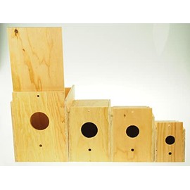 rackcrafts.com Nesting Breeding Brooding Bird House Boxes Outdoor Indoor Finch Sparrow Woodpecker Starling Humming (Large)