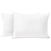 TILLYOU Toddler Pillowcase 2 Pack with Zipper,Silky Soft Microfiber 13"