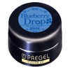 Pregel Gel Nail Color EX Blueberry Drop 808