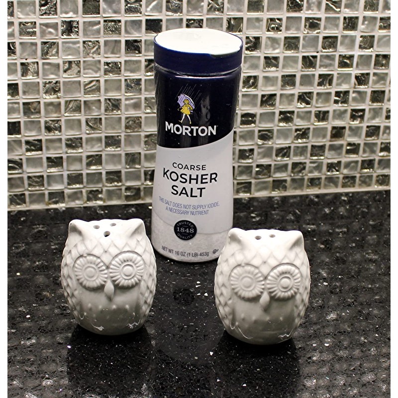 Retro Style Owl Shape Salt & Pepper Shaker Set Kitchen