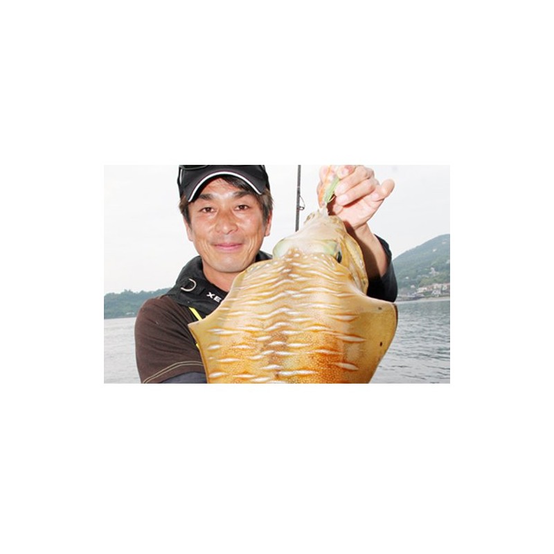 DUEL HARDCORE X8 EGING 150m #1.0 MO