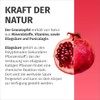 Pomegranate Capsules – Important: 50:1 Extract (= 110,000 mg) per