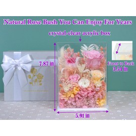 Valley of Rain & Forest Long-Lasting Real Flowers, Handcrafted Preserved Rose Bush For you to Send Love for All Occasions, Floral Arrangement for Indoor Decoration (Pink Rose)