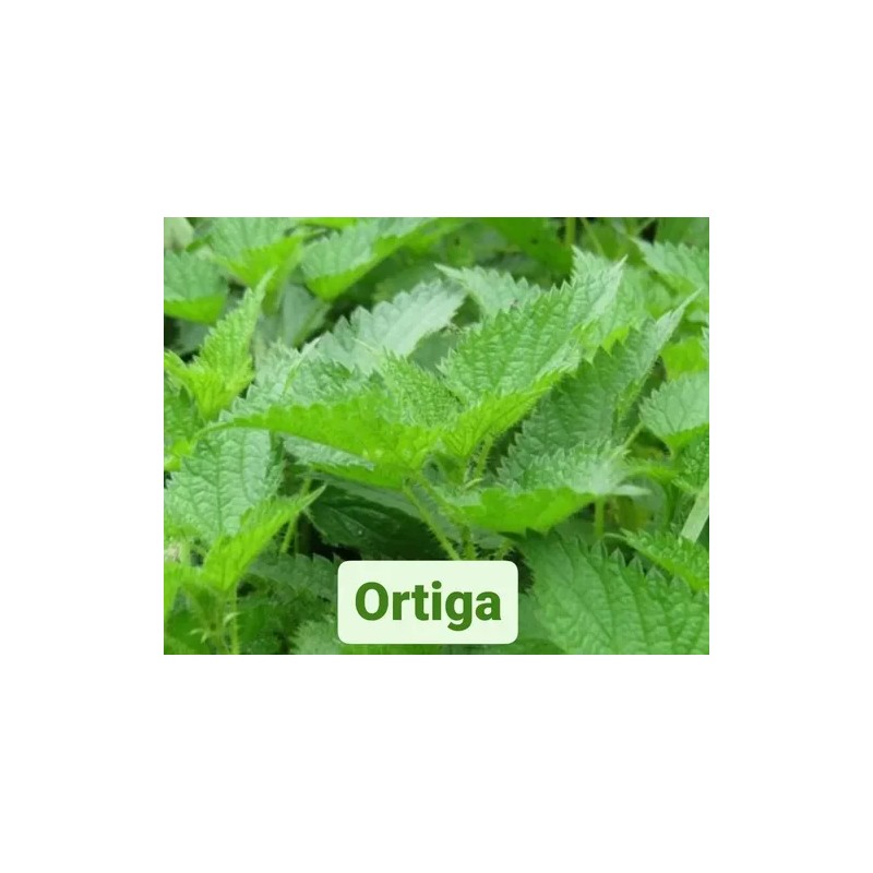 Shampoo Vandé Capilar Sangre De Drago 10 Lts.