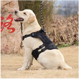 Tactical Dog Harness (Black, Small)