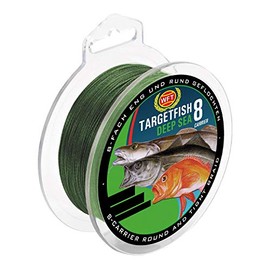 WFT TF8 Surf Deep Sea Green 350 m Sea Line for Pirk Fishing, Braided Fishing Line for Sea Fishing, Line for Norway, Diameter/Load Capacity: 0.25 mm/24 kg Load Capacity
