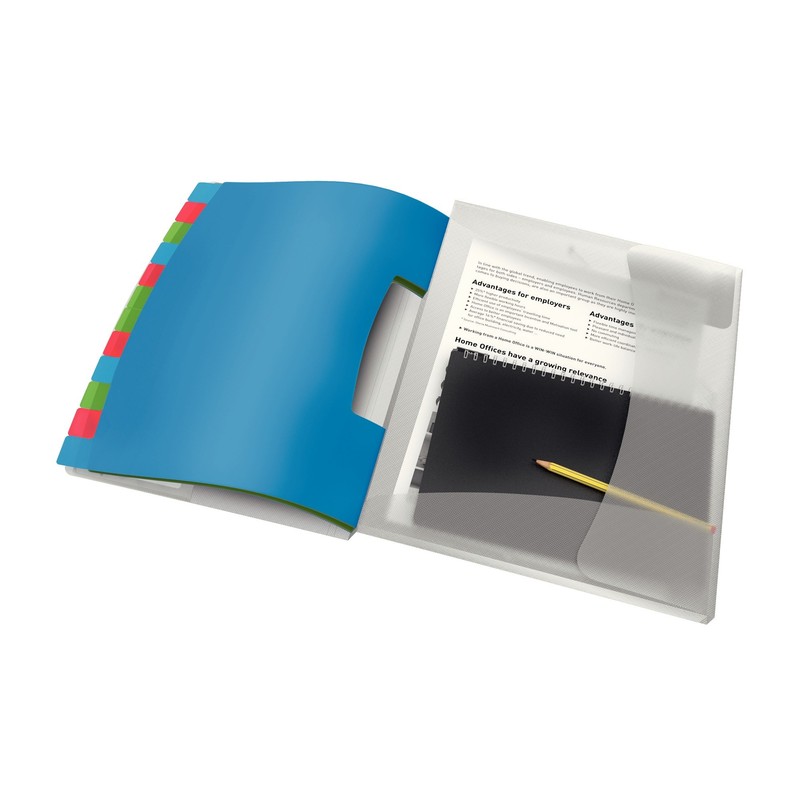Esselte A4 Divider Book, Translucent, Integrated Index with 12 Compartments,