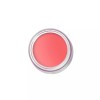 Pot Rouge 팟 루즈 벨벳 매트 포 립스 앤 칙스
