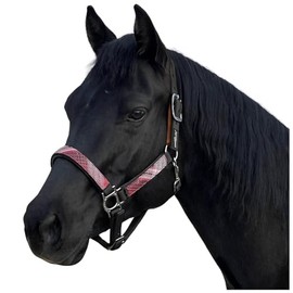 Kensington Premium Breakaway Halter Size: L-Average Color: 165 -Black w/Merlot