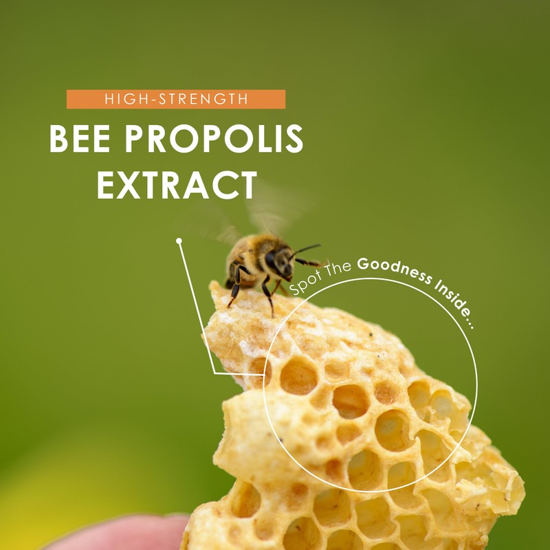 Bee Propolis Extract 4800mg - 108mg Flavonoids Propolis Supplement -