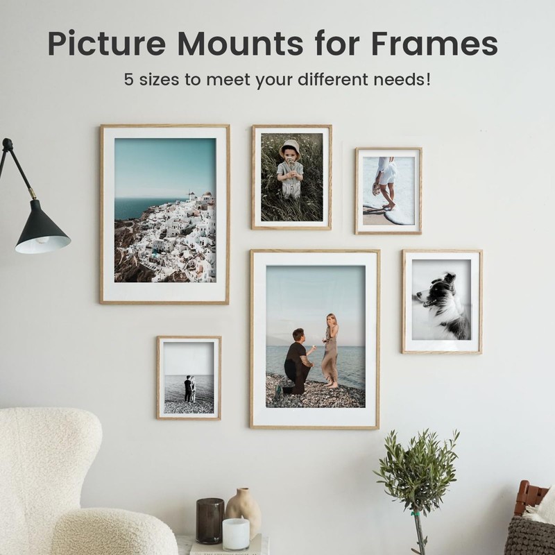 10 PCS White Picture Mounts, 5 Sizes Photo Mounts Mats