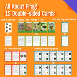 15 Frog Life Circle Flashcards with 5 Plastic Figurines, Frogs Introduction Cards Plastic Insects Tadpole to Frog Kit Toy for Kids, Adults, Animal Lovers