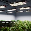 BESTVA 2025 Upgrade DC1000 Led Grow Light with High Yield