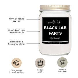 You Nique Designs Black Labrador Retriever Dog Fart Candle Soy Wax 8oz, Labrador Gifts for Women, Men - Dog Dad, Mom Candle Idea - Black Lab Ornament, Décor (Mahogany Teakwood)