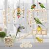Hamiledyi 13Pcs Parrot Swing Chew Toys Bird Perches Platform with