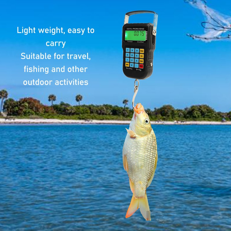 Digital Luggage Scale with Large Hook ABS 110lb High Accuracy