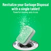 Rockin' Green Deep Cleaning and Deodorizing Tablets for Dishwashers, Washing