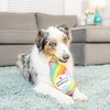 Huxley & Kent for Dogs | Bubbling with Pride Chompagne