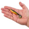 PowerBait The Champ Swimmer Fool's Gold 3.8in | 10cm