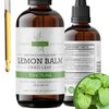 Pura Herba Lemon Balm Liquid Tincture – Alcohol-Free, Vegan –