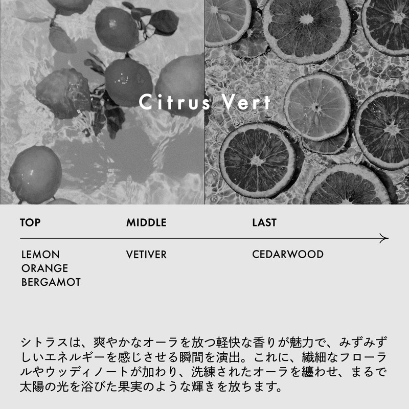 LOA THE EMULSION Citrus Vert Low The Emulsion Citrus Veil,