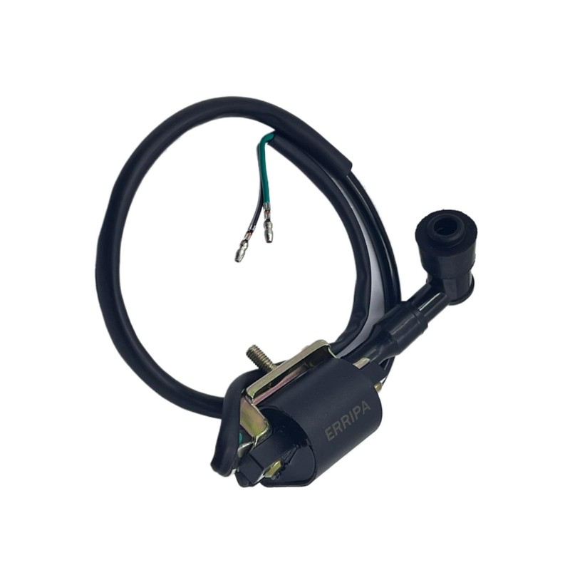 ERRIPA Ignition Coil 50cc 70cc 90cc 110cc 125cc ATV Apollo
