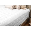 Downtown Feather Classic White Down Blanket (Queen 90" x 96",