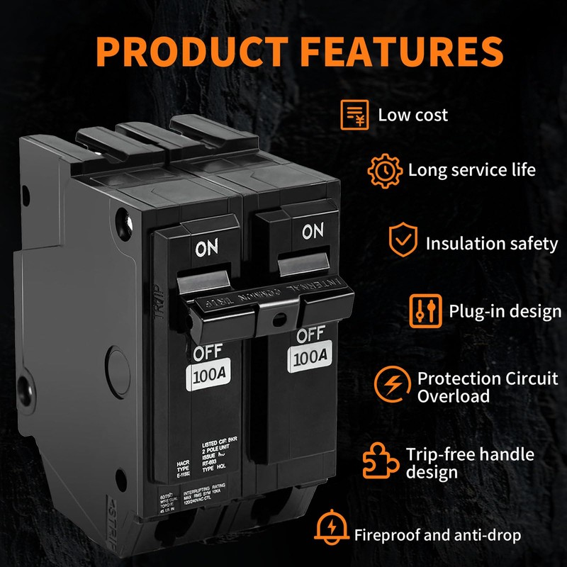 THQL2100 Circuit Breaker 100 Amp 2-Pole, Plug-in Mount, Thermal Magnetic
