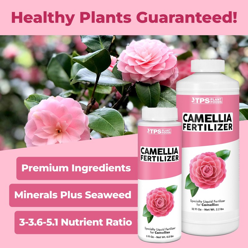 Camellia Fertilizer, Complete Liquid Camellia Plant Food, 8 oz (250mL)