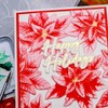 Briartw Poinsettia 3D Embossing Folder Create Textured Backgrounds for Card