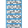 Thomas & Anca Club Supplies Ltd 600 Bingo Tickets -