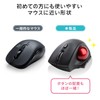 Sanwa Direct 400-MAWTB180BK Trackball Mouse, Wireless, Small, Quiet, Mac/Windows Compatible,