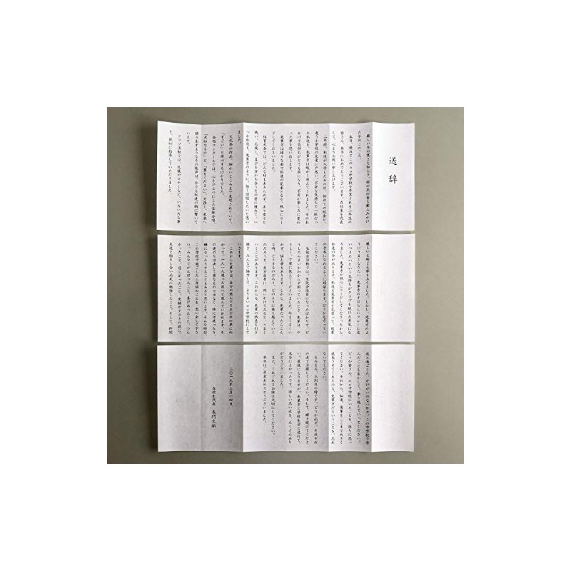 Nagatoya Shoten Ma-290 Perforated Printer Compatible with Template Expression Paper