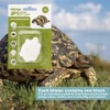 BPS Pack of 12 Calcium Block for Turtles Large Natural