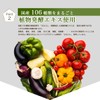 SoyVegePROTEIN 15 Packets, Plant Fermented Extract, Lactic Acid Bacteria, Bifidobacteria