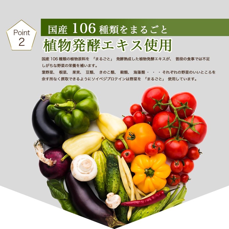 SoyVegePROTEIN 15 Packets, Plant Fermented Extract, Lactic Acid Bacteria, Bifidobacteria