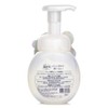 Biore Facial Wash Foam 160ml Gentle Cleansing / 비오레 페이셜