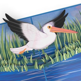 Lovepop Everyday Pop-Up Card for Her and Him - 3D Greeting Cards for Boys, Girls, Men, Women - Pelican in the Marsh - 5" x 7" Card - Blank Notecard and Envelope Included