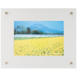 FUJICOLOR 40100 Pro Frame Frame 2L Acrylic Silver