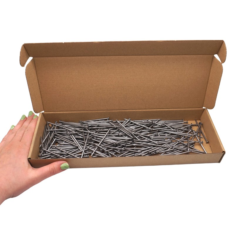 (Pack of 300) Steel 2.5 x 60 mm Construction Nails