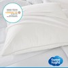 Sweet Night Axel Pack of 2 protèges-oreillers Waterproof Jersey Polyester