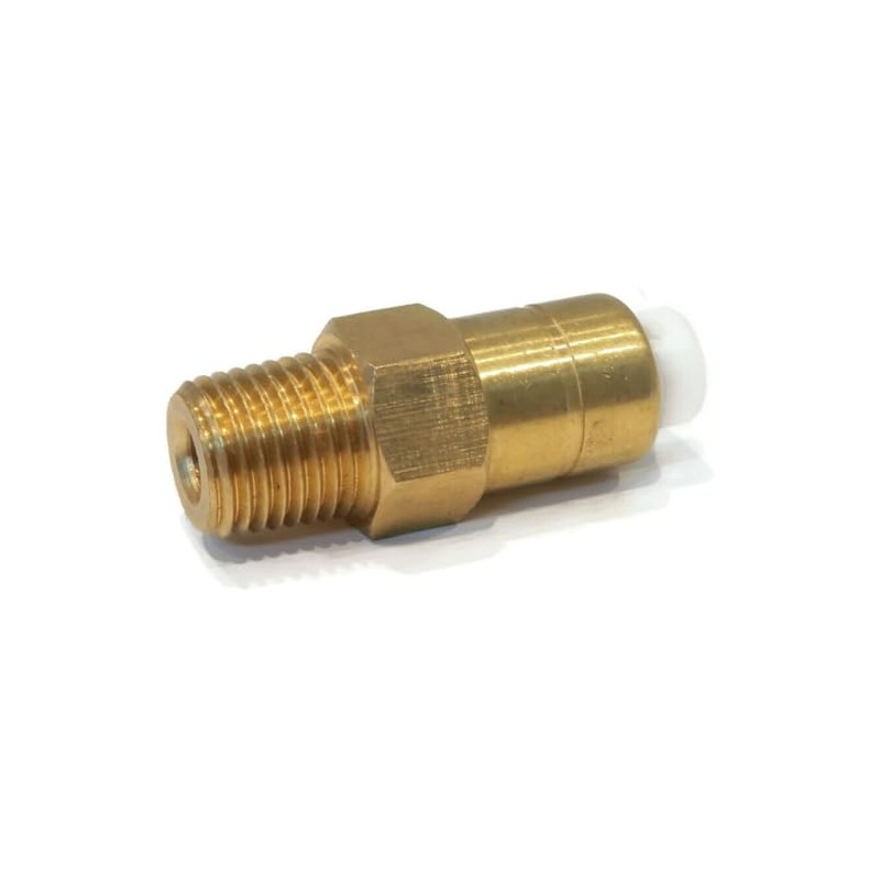 678169004 Thermal Relief Release Valve for Pressure Washer