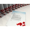 Writing Paper "Poppies", 20 Sheets, Writing Paper, 100 g/m²