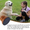 Arvintas Dog Nail File with 4Pcs Replaceable Sandpaper, Dog Scratch