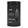 Suplemento En Polvo Birdman Performance Creatina 700g