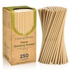 Lives on Green Brown Kraft Paper Straws 7.75" x 0.25"