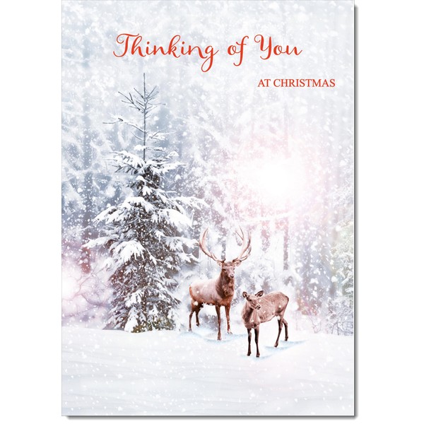 doodlecards Thinking Of You Christmas Card Deers in Forest Medium