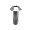 RISON Titanium Bolts M5 x 0.8 x 16 mm Titanium
